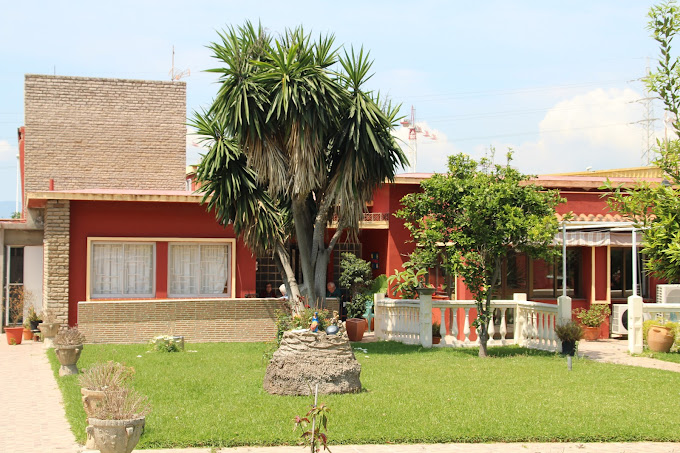 Campamento - 11314